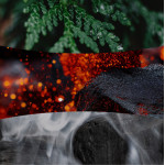 WOOD SMOKE